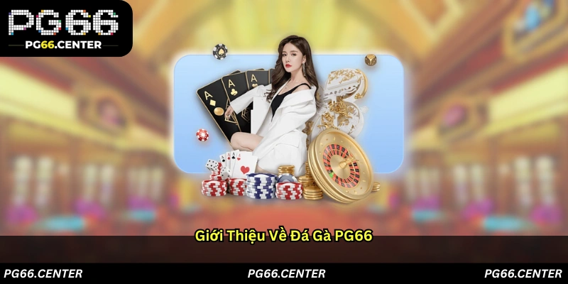 Giới thiệu về đá gà PG66