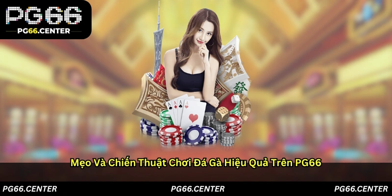 Mẹo và chiến thuật chơi đá gà hiệu quả trên PG66